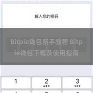 Bitpie钱包新手教程 Bitpie钱包下载及使用指南