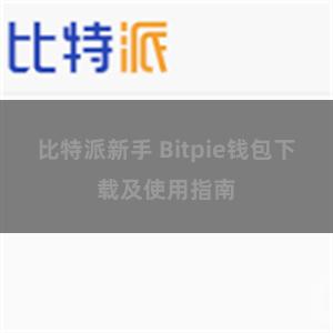 比特派新手 Bitpie钱包下载及使用指南