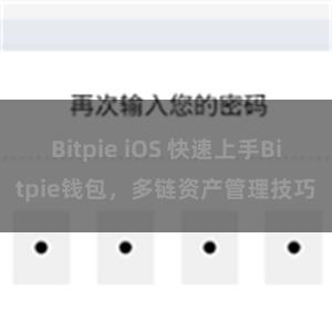 Bitpie iOS 快速上手Bitpie钱包，多链资产管理技巧