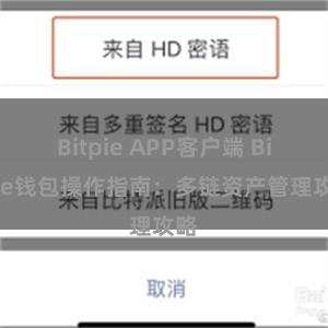 Bitpie APP客户端 Bitpie钱包操作指南：多链资产管理攻略