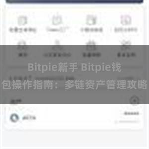 Bitpie新手 Bitpie钱包操作指南：多链资产管理攻略