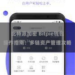 比特派加密 Bitpie钱包操作指南：多链资产管理攻略