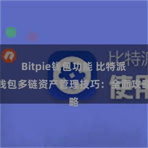 Bitpie钱包功能 比特派钱包多链资产管理技巧：全面攻略