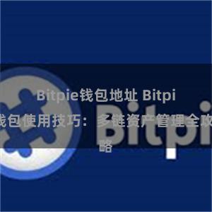 Bitpie钱包地址 Bitpie钱包使用技巧：多链资产管理全攻略