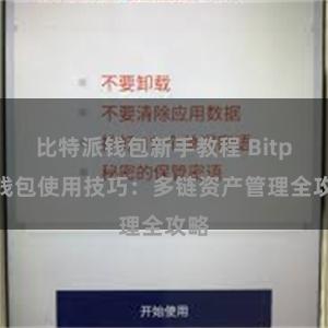 比特派钱包新手教程 Bitpie钱包使用技巧：多链资产管理全攻略