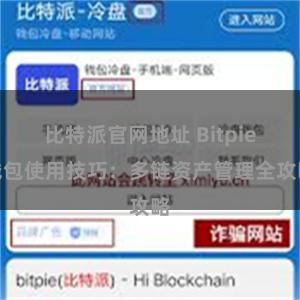 比特派官网地址 Bitpie钱包使用技巧：多链资产管理全攻略