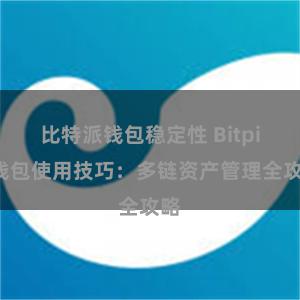 比特派钱包稳定性 Bitpie钱包使用技巧：多链资产管理全攻略