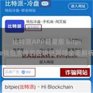 比特派APP轻量版 Bitpie钱包支持的区块链网络全面解析