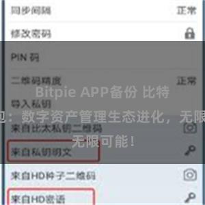 Bitpie APP备份 比特派钱包：数字资产管理生态进化，无限可能！