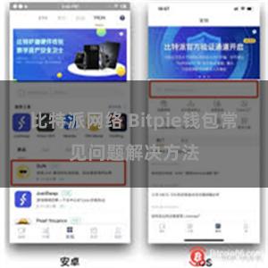 比特派网络 Bitpie钱包常见问题解决方法