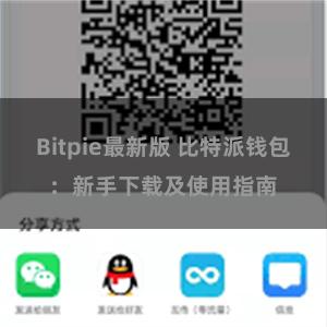 Bitpie最新版 比特派钱包：新手下载及使用指南