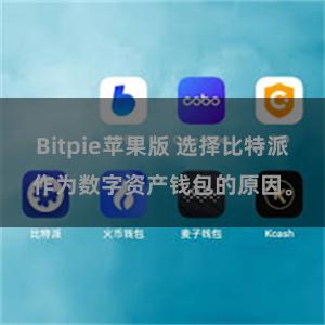 Bitpie苹果版 选择比特派作为数字资产钱包的原因。