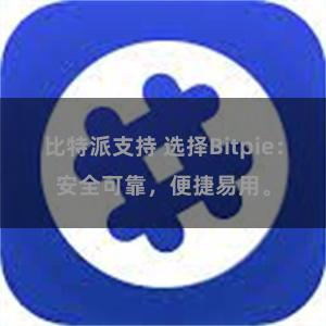 比特派支持 选择Bitpie：安全可靠，便捷易用。