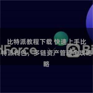 比特派教程下载 快速上手比特派钱包，多链资产管理全攻略