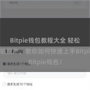 Bitpie钱包教程大全 轻松管理多链资产，教你如何快速上手Bitpie钱包！