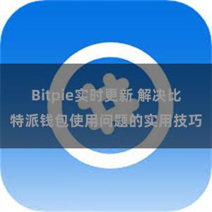 Bitpie实时更新 解决比特派钱包使用问题的实用技巧