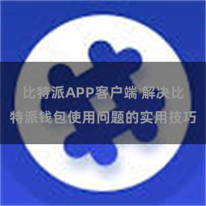 比特派APP客户端 解决比特派钱包使用问题的实用技巧