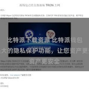 比特派下载资源 比特派钱包：强大的隐私保护功能，让您资产更安全