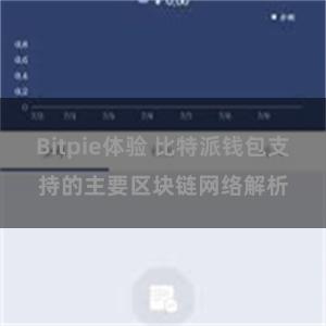 Bitpie体验 比特派钱包支持的主要区块链网络解析