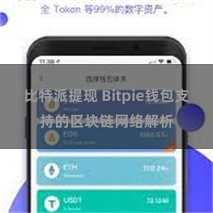 比特派提现 Bitpie钱包支持的区块链网络解析