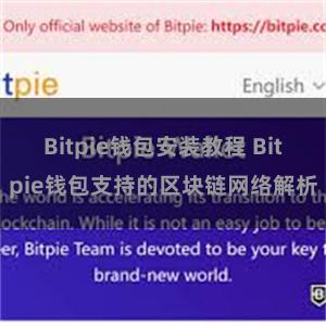 Bitpie钱包安装教程 Bitpie钱包支持的区块链网络解析