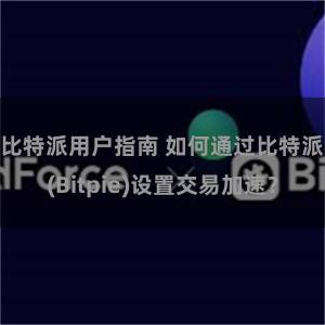 比特派用户指南 如何通过比特派(Bitpie)设置交易加速？