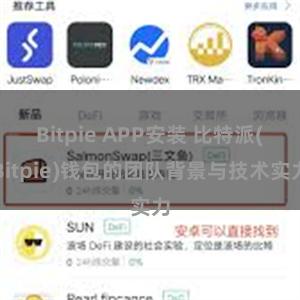 Bitpie APP安装 比特派(Bitpie)钱包的团队背景与技术实力