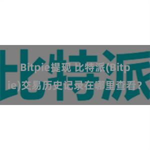 Bitpie提现 比特派(Bitpie)交易历史记录在哪里查看？