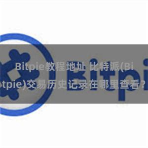 Bitpie教程地址 比特派(Bitpie)交易历史记录在哪里查看？