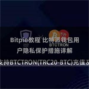 Bitpie教程 比特派钱包用户隐私保护措施详解