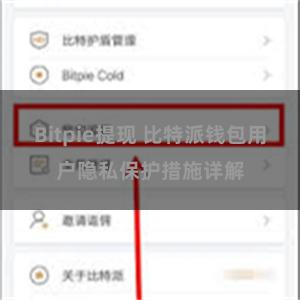 Bitpie提现 比特派钱包用户隐私保护措施详解