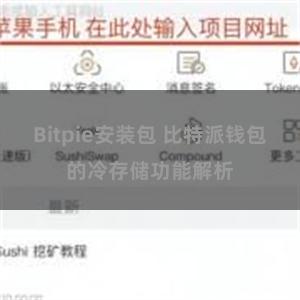 Bitpie安装包 比特派钱包的冷存储功能解析