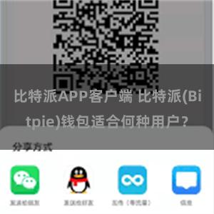 比特派APP客户端 比特派(Bitpie)钱包适合何种用户？