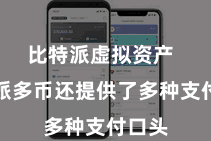 比特派虚拟资产  比特派多币还提供了多种支付口头