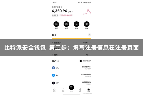 比特派安全钱包  第二步：填写注册信息在注册页面