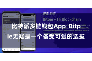 比特派多链钱包App  Bitpie无疑是一个备受可爱的选拔