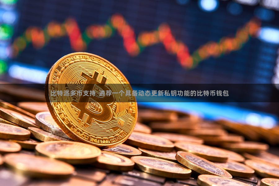 比特派多币支持  遴荐一个具备动态更新私钥功能的比特币钱包