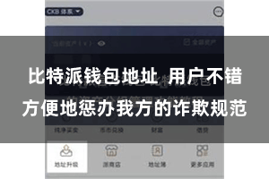 比特派钱包地址  用户不错方便地惩办我方的诈欺规范